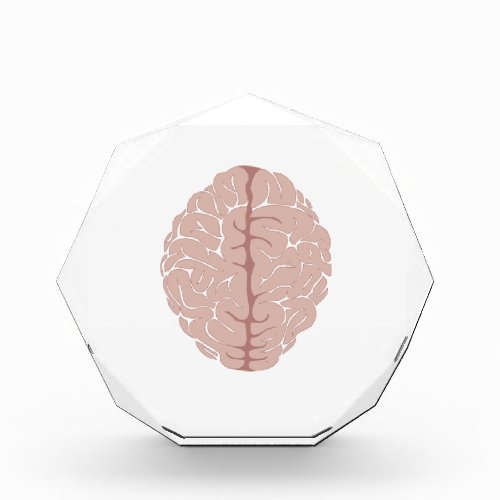 Brain Acrylic Award