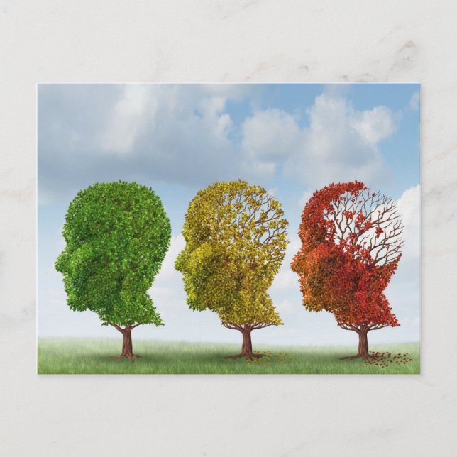 Brain Aging Postcard (Front)
