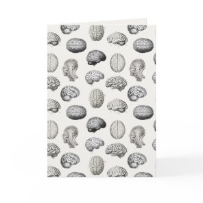 Brain Anatomy Biology Illustrations Card