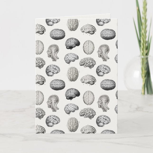 Brain Anatomy Biology Illustrations Card (Front)