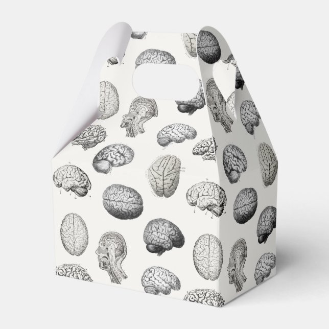 Brain Anatomy Biology Illustrations Favor Boxes (Front Side)