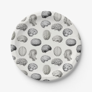Brain Anatomy Biology Illustrations Paper Plates