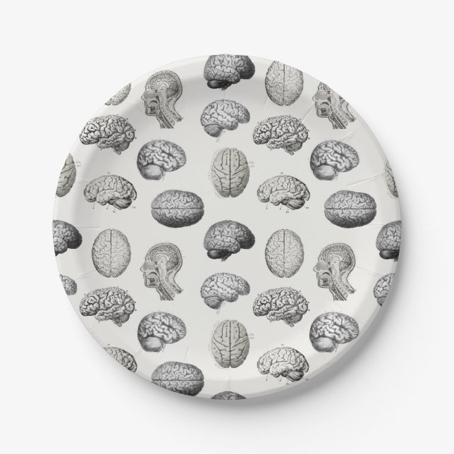 Brain Anatomy Biology Illustrations Paper Plates (Front)