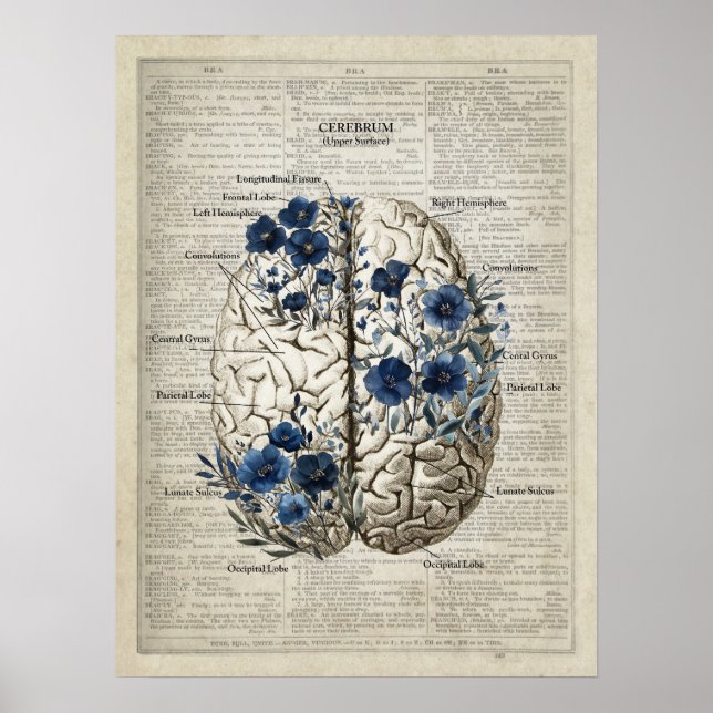 Brain Anatomy Blue Floral Dictionary Art Poster (Front)