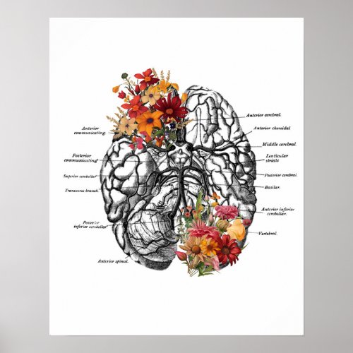 Brain Anatomy Flowers Anatomical Art Poster