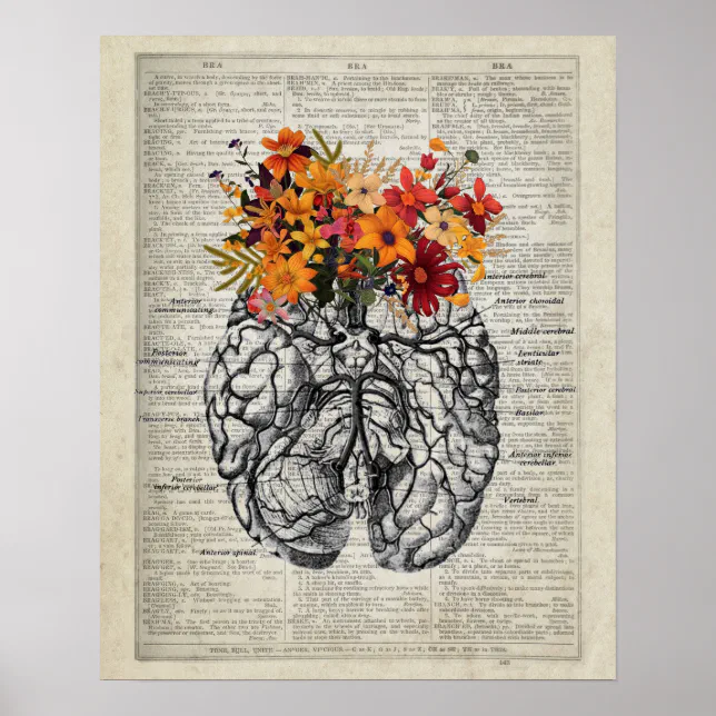 Brain Anatomy Flowers Dictionary Art DA02Brain Poster Zazzle