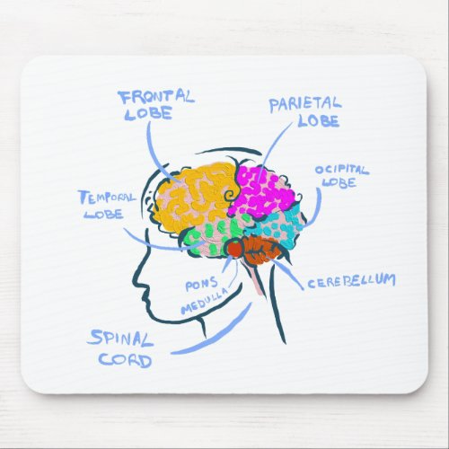 Brain anatomy painted illustration with labels mouse pad