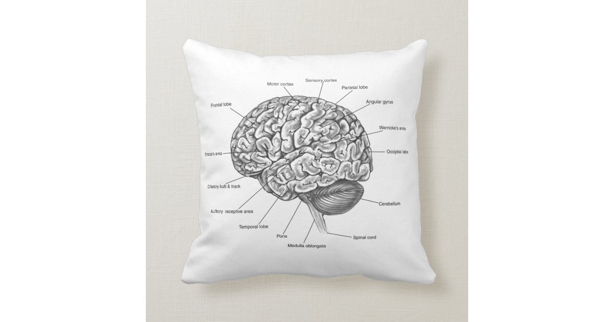 brain sleep pillow