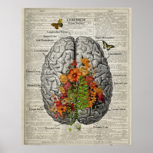Brain Anatomy with Butterflies and Flowers Poster