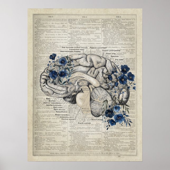Brain Anatomy with Navy Blue Flowers Medical Art Poster (Front)