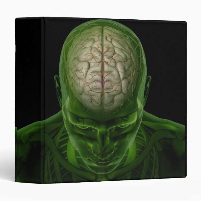 Brain Arteries 3 Ring Binder (Front/Spine)