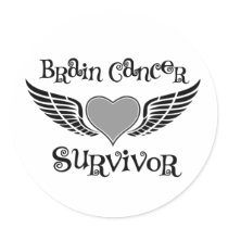 Brain Cancer Survivor Classic Round Sticker