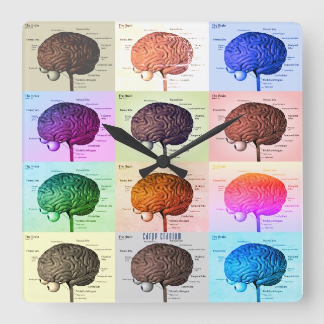 Brain/Color Square Wall Clock (Front)