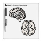 Brain Diagram