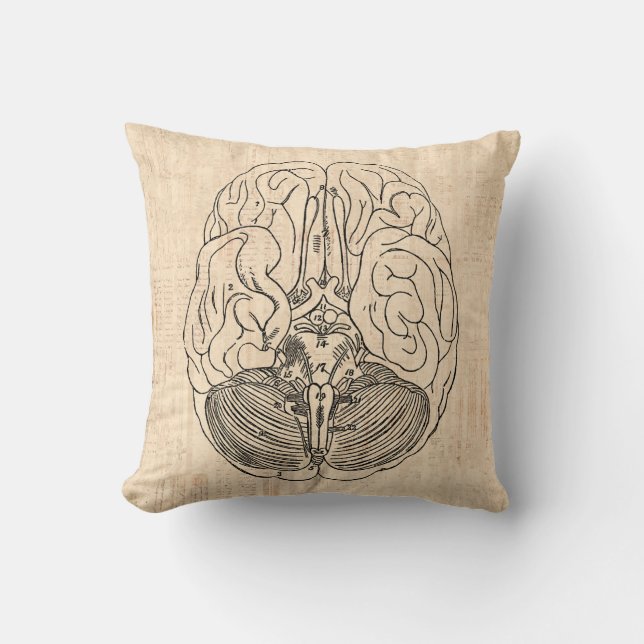 Brain Diagram Vintage Medical Art Throw Pillow (Front)
