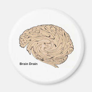 Brain Drain Magnet
