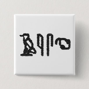 Brain Hieroglyphics Button