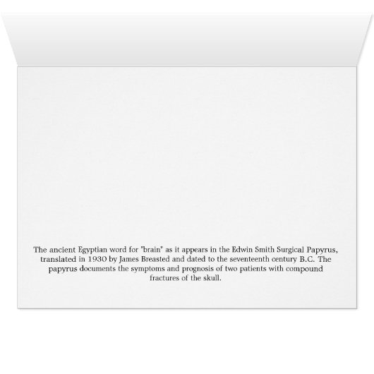 Brain Hieroglyphics Cards (Inside Horizontal (Bottom))