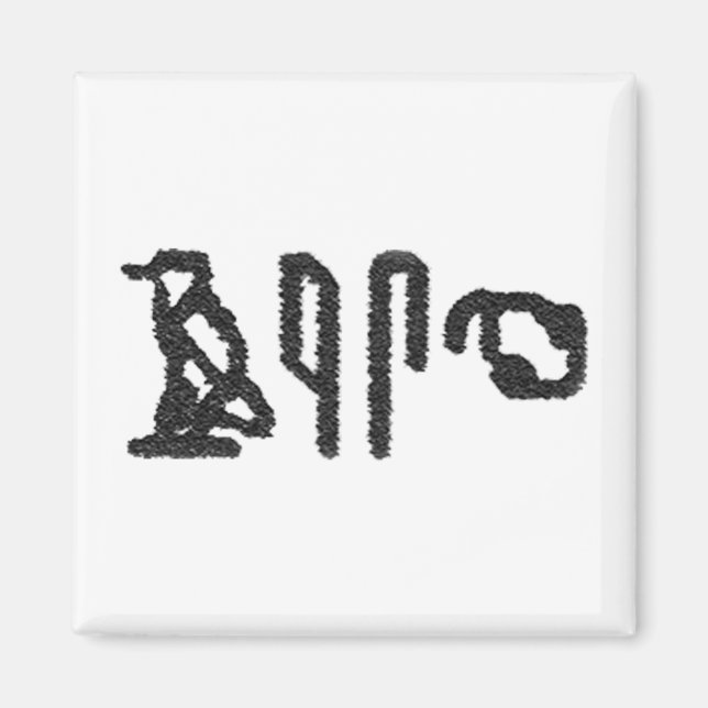 Brain Hieroglyphics Magnet (Front)
