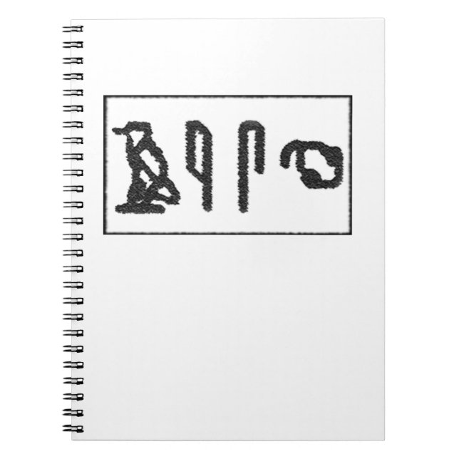 Brain Hieroglyphics Notebook (Front)