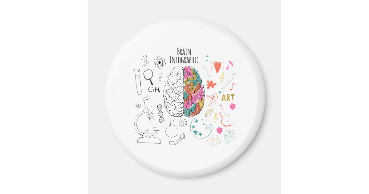 Brain Infographic Magnet | Zazzle