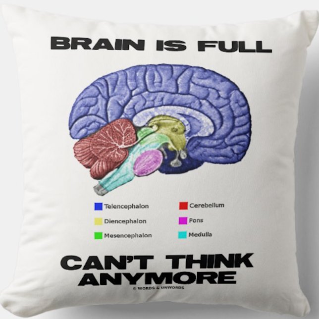 Brain Is Full Can't Think Anymore Anatomical Humor Throw Pillow (Throw pillow for anyone who has a brain that is full and just can't think anymore)