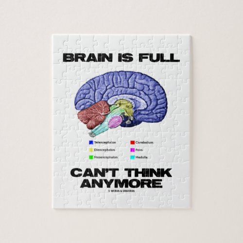 Brain Is Full Cant Think Anymore Brain Anatomy Jigsaw Puzzle