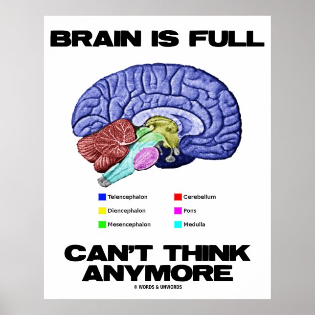 Brain Is Full Can't Think Anymore (Brain Anatomy) Poster (Front)
