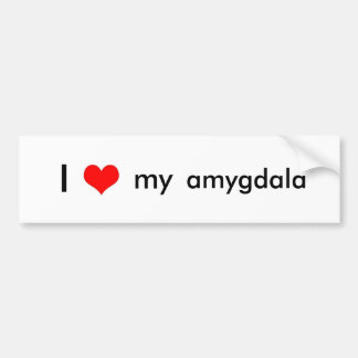 Brain love bumper sticker