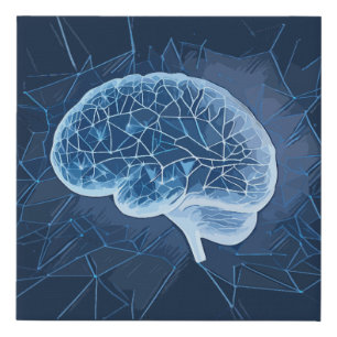 Brain Network Illustration - Neural Network Faux Canvas Print
