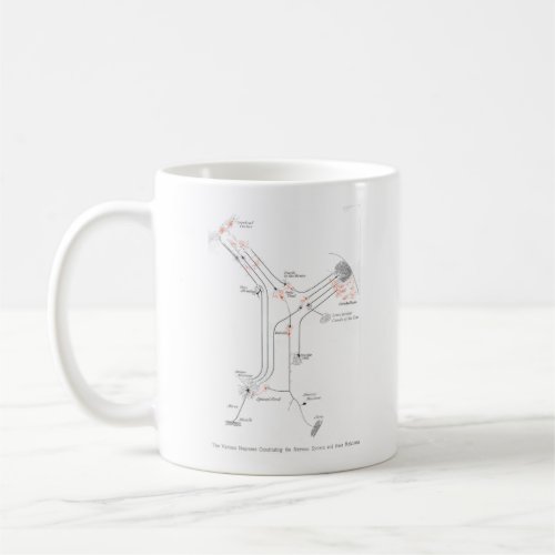 Brain Neuron Synapses Anatomy Mug