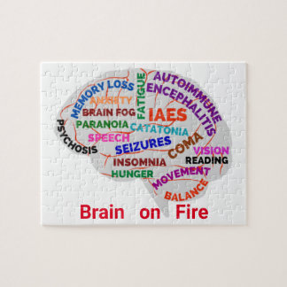 Brain on Fire Autoimmune Encephalitis Puzzle