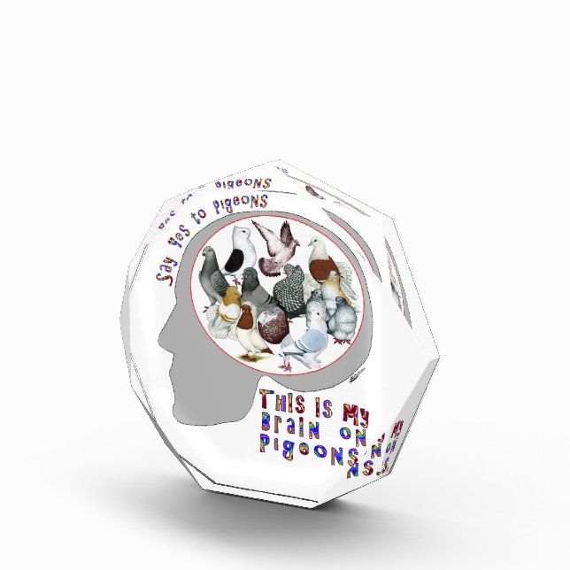 Brain On Pigeons Award (Right)