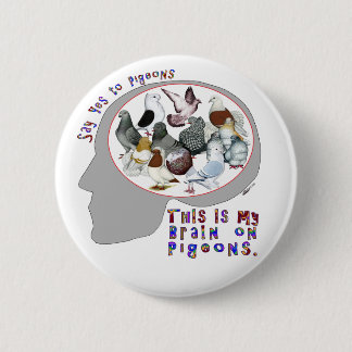 Brain On Pigeons Button