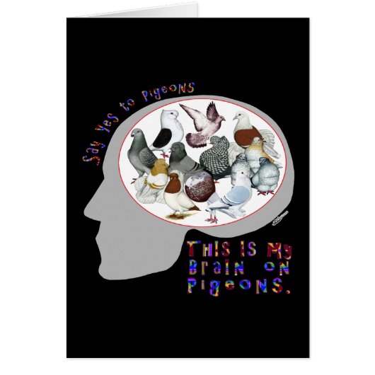 Brain On Pigeons Cards (Front)