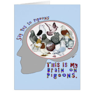 Brain On Pigeons Cards