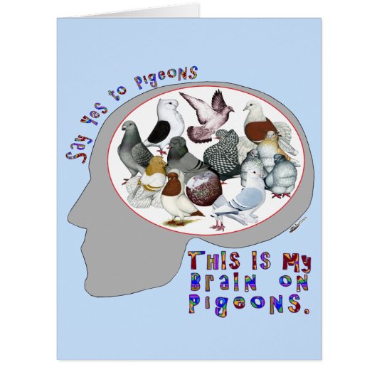 Brain On Pigeons Cards (Front)