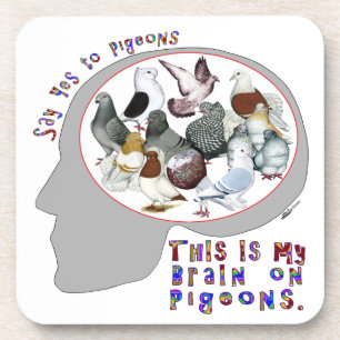 Brain On Pigeons Drink Coaster