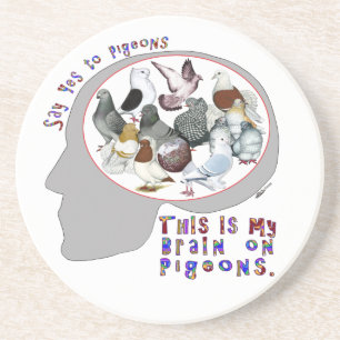 Brain On Pigeons Drink Coaster