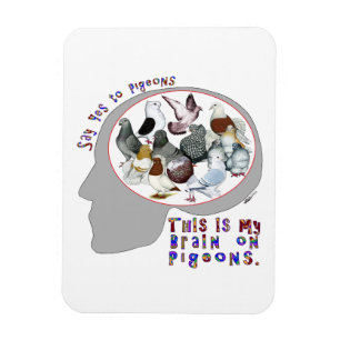 Brain On Pigeons Magnet