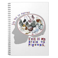 Brain On Pigeons