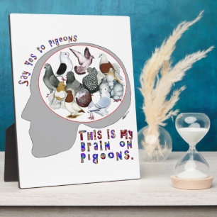 Brain On Pigeons Plaque