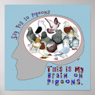Brain On Pigeons Poster