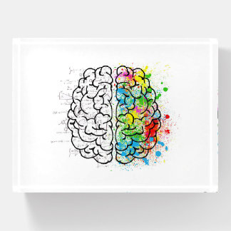 Brain Paperweight