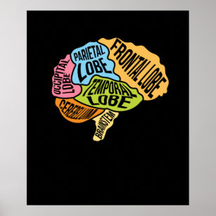 Brain Parts Surgery Doctor Neurology Surgeon Graph Poster