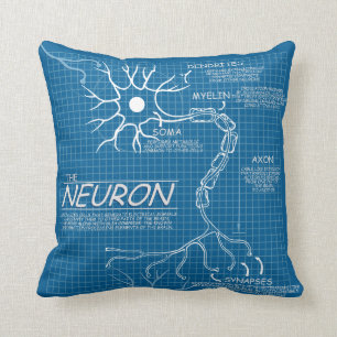 brain pillow