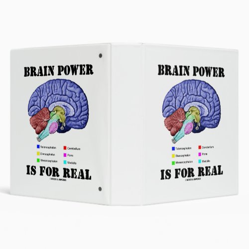 Brain Power Is For Real Brain Anatomy Attitude 3 Ring Binder