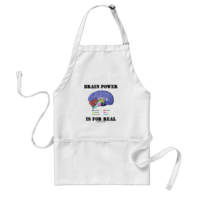 Brain Power Is For Real (Brain Anatomy Attitude) Adult Apron (Front)