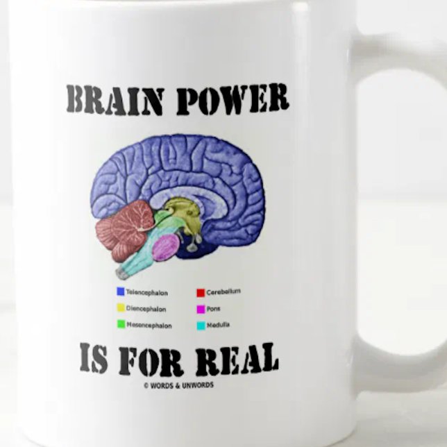 Brain Power Is For Real (Brain Anatomy Attitude) Coffee Mug (Do a double-take on brain power with anatomical attitude with this truism saying mug!)