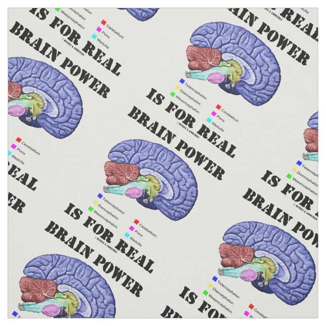 Brain Power Is For Real Brain Anatomy Attitude Fabric (Swatch)